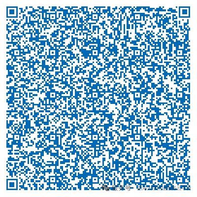 211A1